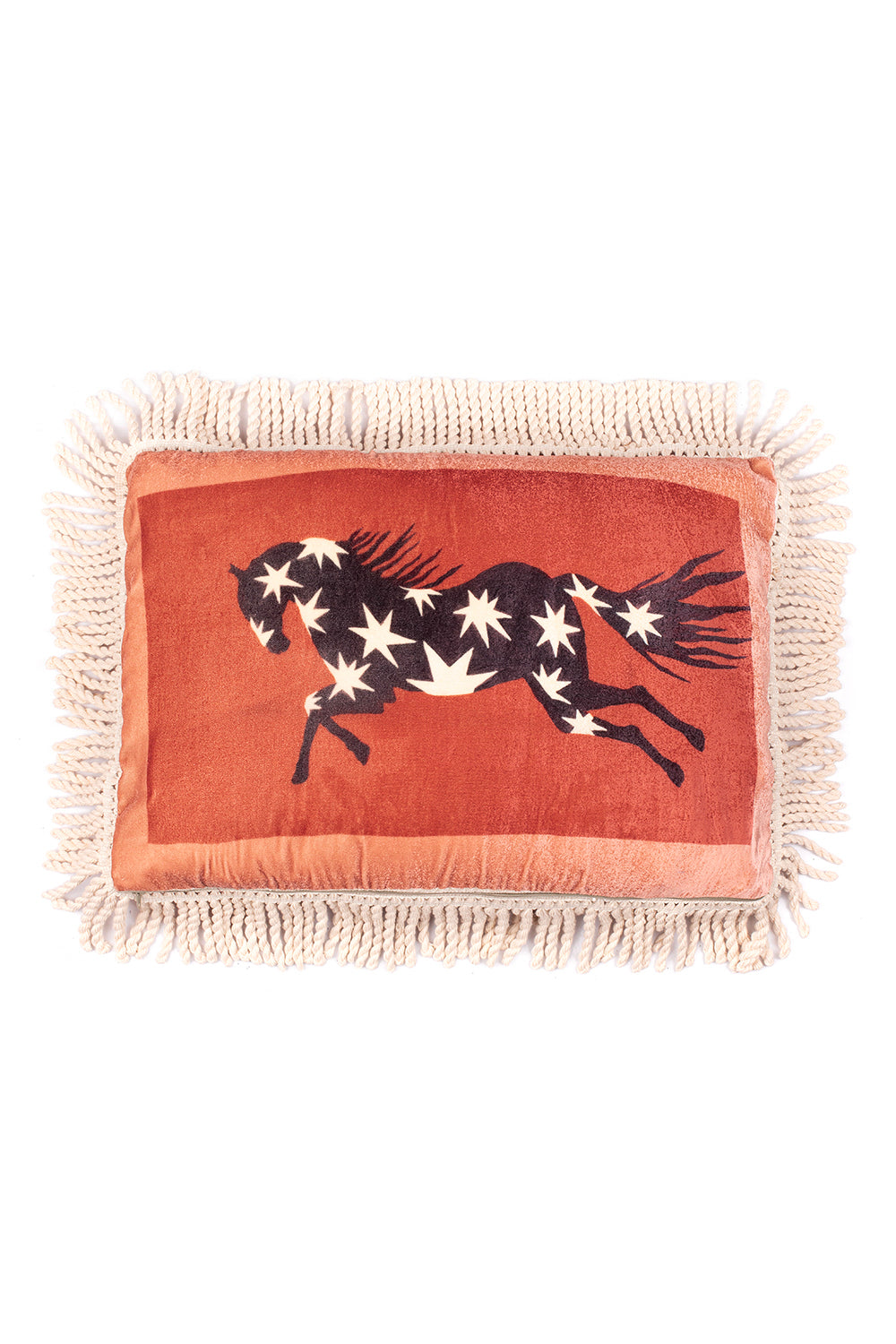 CLOUD pillow case - WINGED HORSE