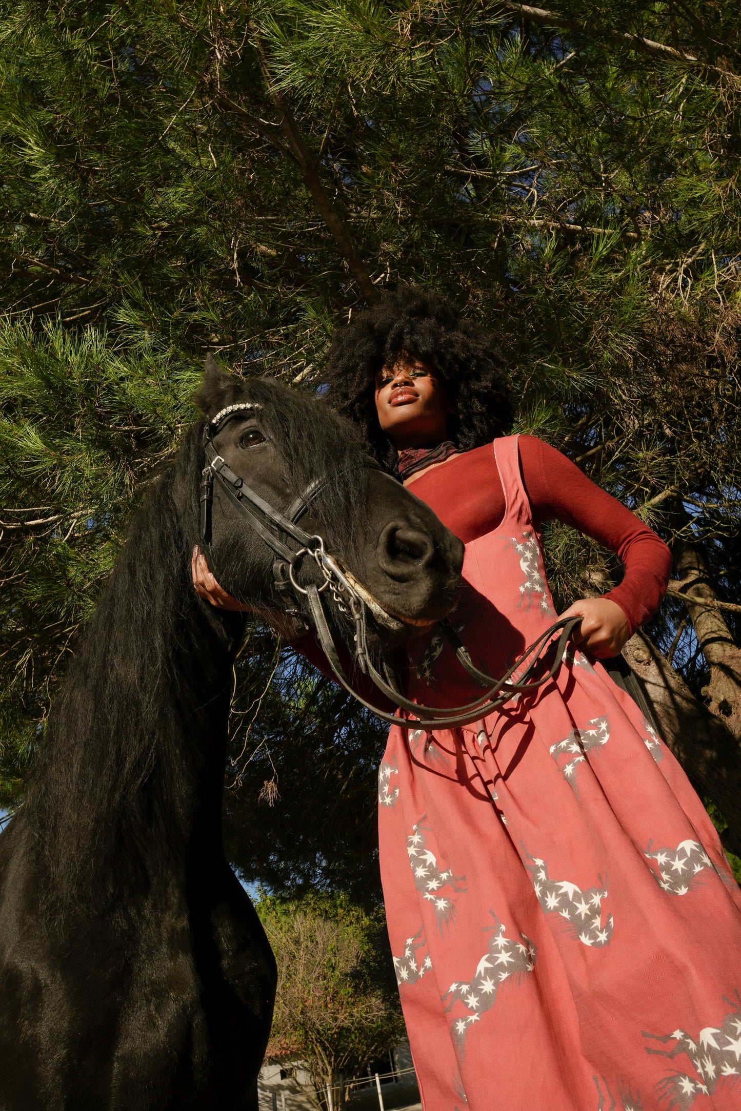 PEGASI dress - WINGED HORSE